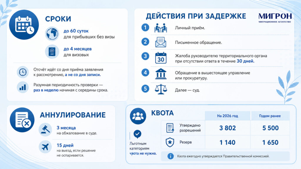 Как проверить готовность РВП в России в 2026 году инфографика