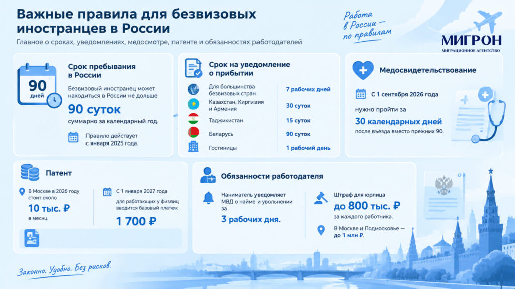 Виды помощи иностранным гражданам в РФ полный перечень миграционных услуг и консультаций инфографика